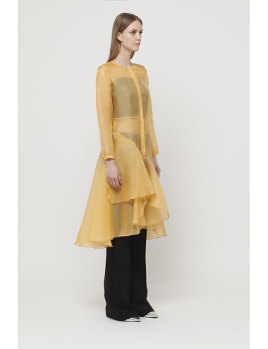 Transparent dress with ruffles